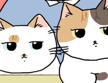 フレッシュな新メンバーを紹介するわ【てらねこミー子の日常】