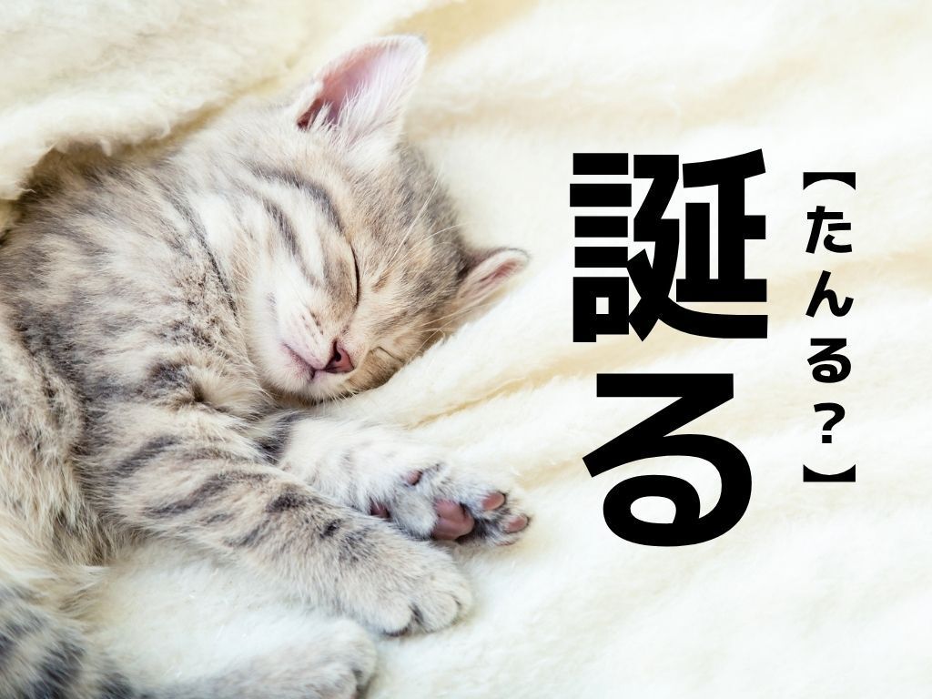 【誕る】なんて読む？「たんる」ではありません。意外な読み方に驚きますよ！【読めそうで読めない漢字クイズ】