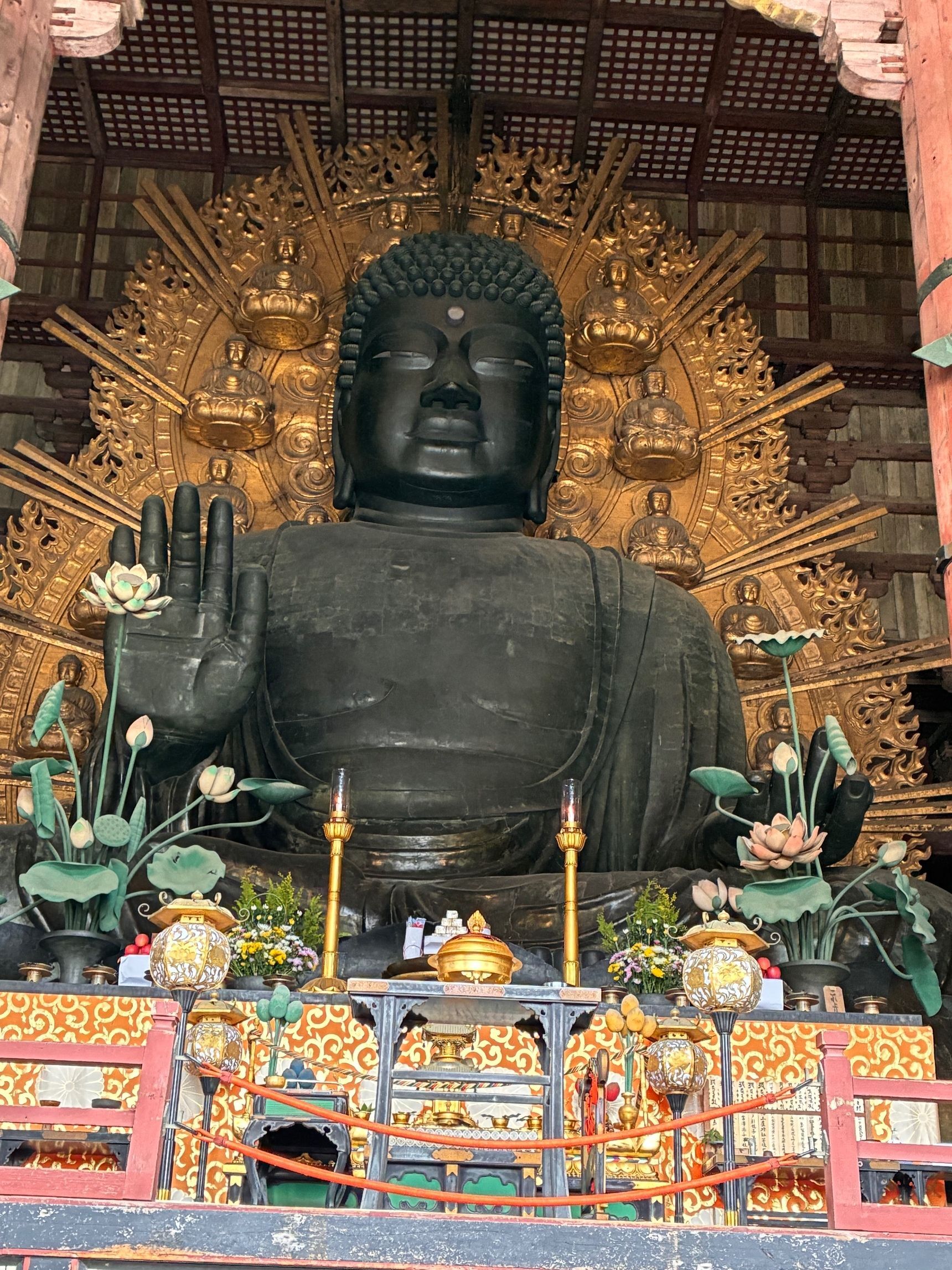 20年ぶりに奈良の大仏、見上げてきました！