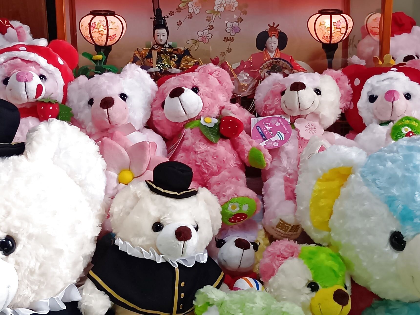 迷ったときは、無理に即決せず、自分の心に正直でいることが大切だなと思います。