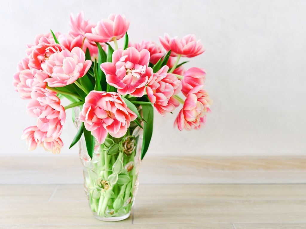 【4月の幸運日カレンダー】4月は前半に〈幸運日〉が集中。後半は慎重に過ごすのがカギ！