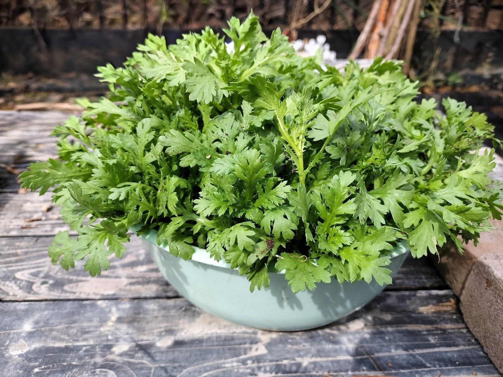生の春菊！和風の和え物3種！お寿司に合う副菜！春菊の胡麻和え！