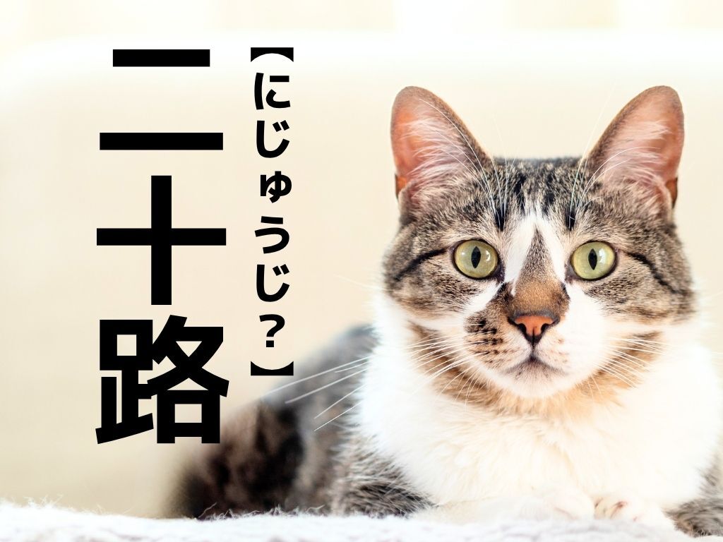 【三十路】は「みそじ」。では【二十路】はなんと読む？【読めそうで読めない漢字クイズ】