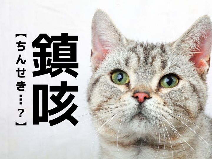 【鎮咳】なんて読む?「ちんせき」ではありませんよ!「咳」の読み方がポイントです。【読めそうで読めない漢字クイズ】