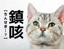 【鎮咳】なんて読む？「ちんせき」ではありませんよ！「咳」の読み方がポイントです。【読めそうで読めない漢字クイズ】