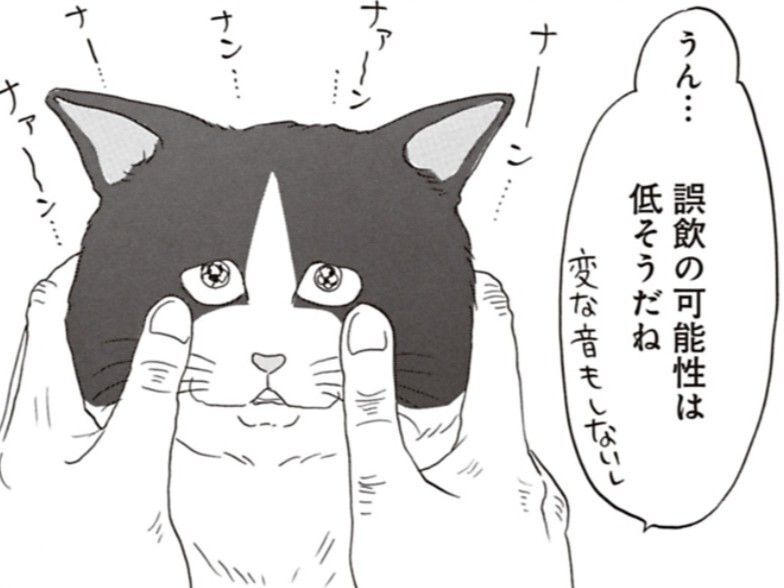 アラフォー女子と保護猫2匹との幸せな生活。でもやっぱり楽しいだけじゃなくて…【鶴子はまだ四十五だから！#4】