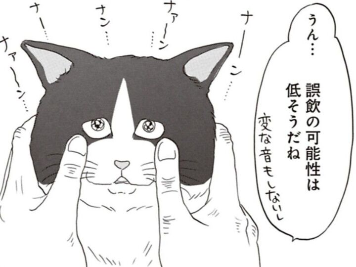 アラフォー女子と保護猫2匹との幸せな生活。でもやっぱり楽しいだけじゃなくて…【鶴子はまだ四十五だから!#4】
