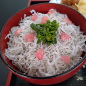 ご飯にのせるだけ！ふんわりしらす丼