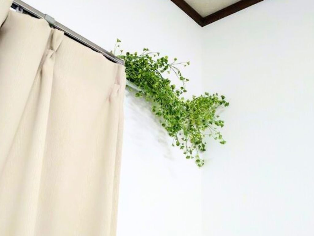 どこに『突っ張り棒』使ってるの？→実はあちこち仕込んでます【活用アイデア】