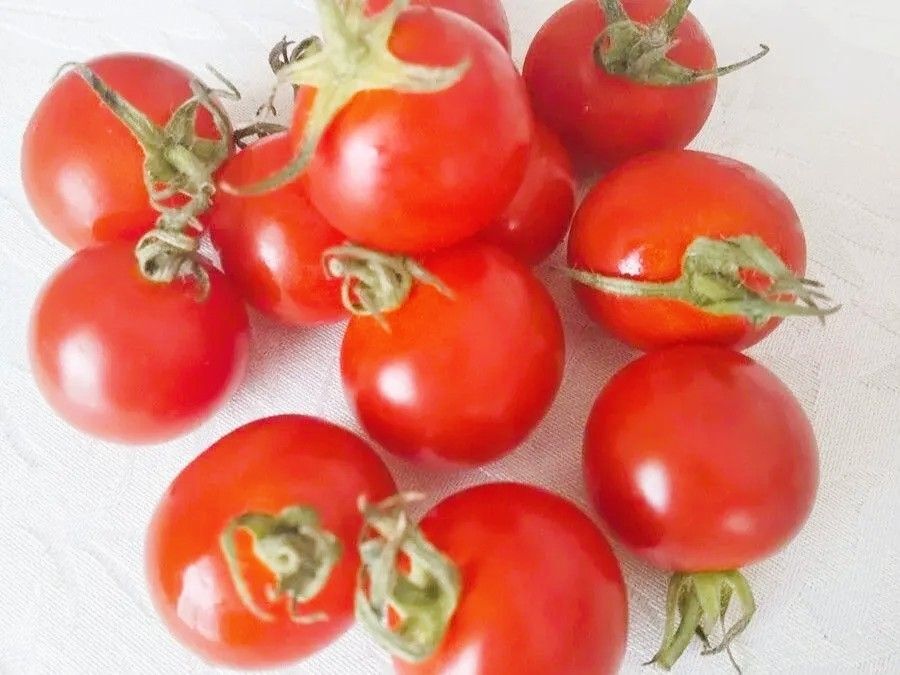 スーパーで『ミニトマト』を買ったらすぐにやるコト。知っておくとトクしますよ♪