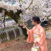 初挑戦！タンスの肥やし着物de桜満喫～！出張着付け体験レポ→ラクで良すぎた件。亡き母が結んだご縁？