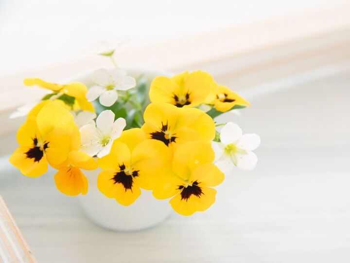 4月8日(水)は三つの幸運が重なる日。何かを始めるなら今日スタートを!