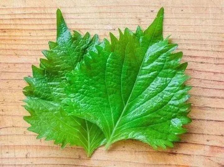 「大葉」と「しそ」の違い。正しく言えたら天才!?【大人のたしなみ】