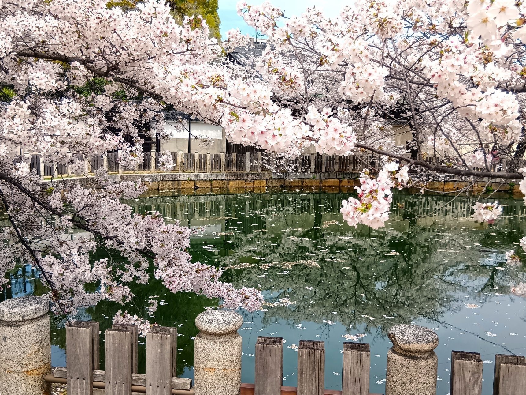 夢を見ているような、特別で幸せな気分です！！！