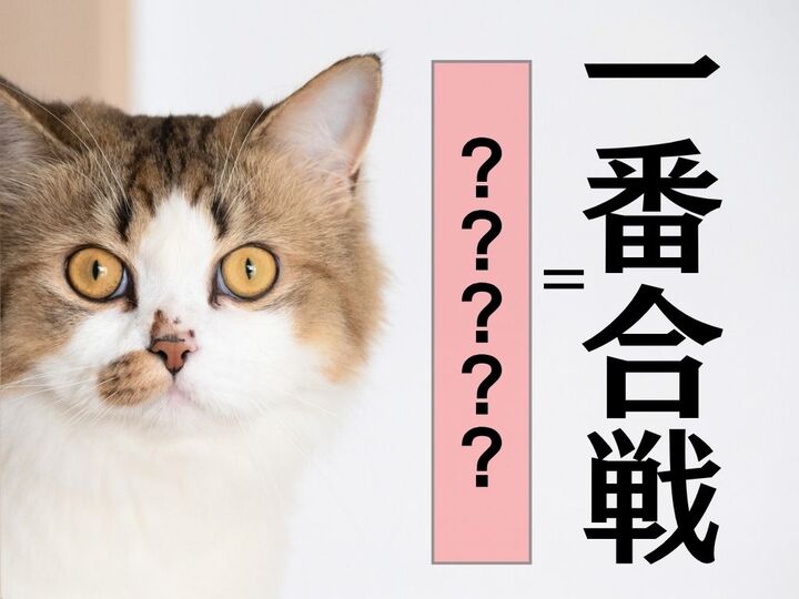 【一番合戦】さん、なんて読む?全国に約30名しかいない珍名字!出会えたらラッキー!?【読めそうで読めない漢字クイズ】