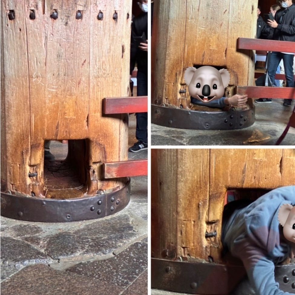 大仏の鼻の穴と同じ大きさの穴通れるか！