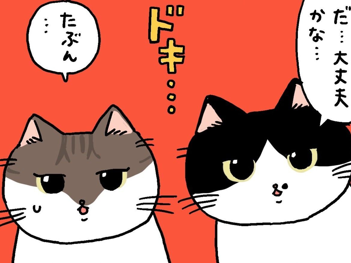 ドキドキハラハラ見守りねこ【てらねこミー子の日常】