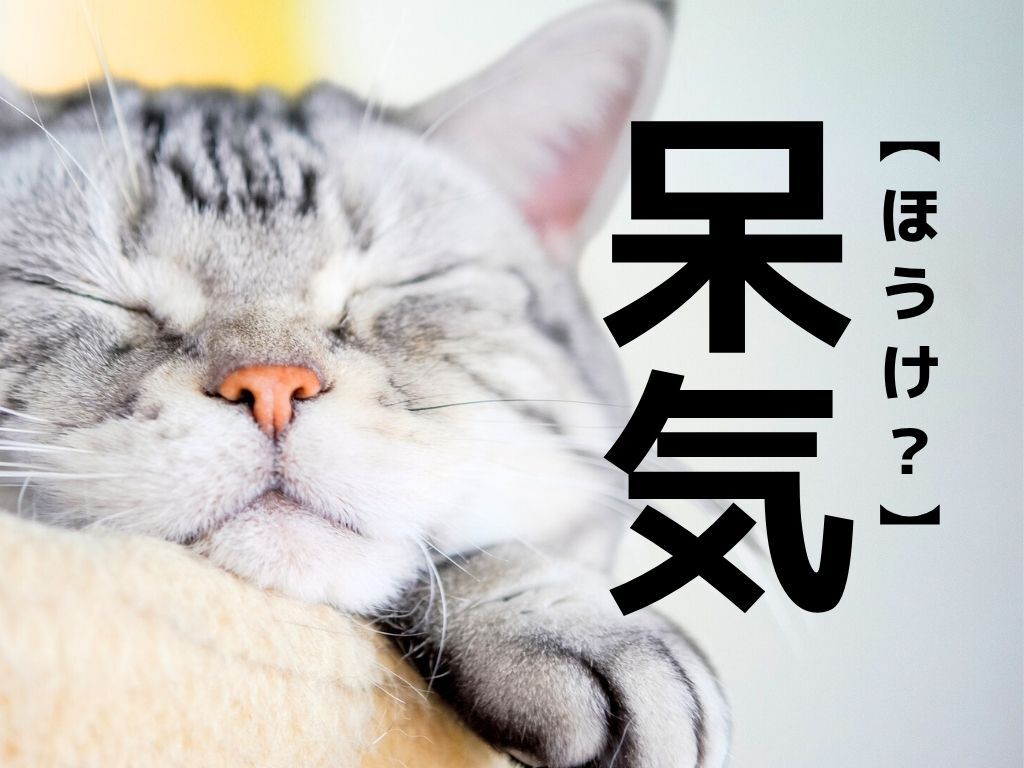 【呆気】なんて読む？「ほうけ…？」ではありませんよ！【読めそうで読めない漢字クイズ】