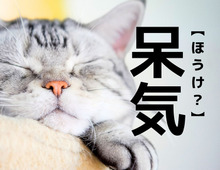 【呆気】なんて読む？「ほうけ…？」ではありませんよ！【読めそうで読めない漢字クイズ】