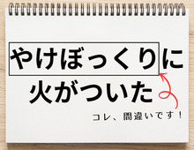 「やけぼっくりに火がついた」は間違いです！知らないとちょっと恥ずかしい【日本語クイズ】