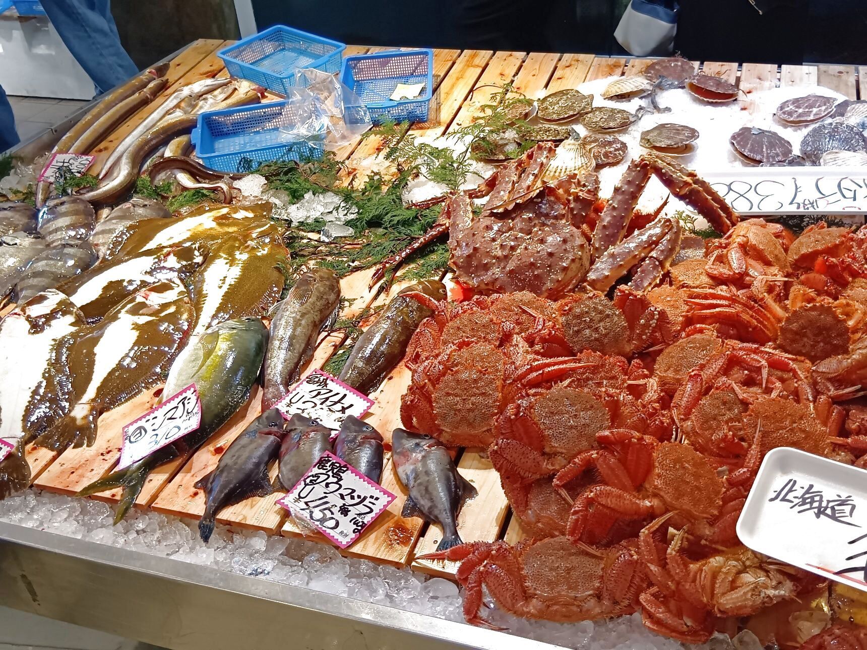 料理人だけでなく、我が家のような一般の家族でも、魚をじっくり観察しながら購入できる、とても楽しい空間です！