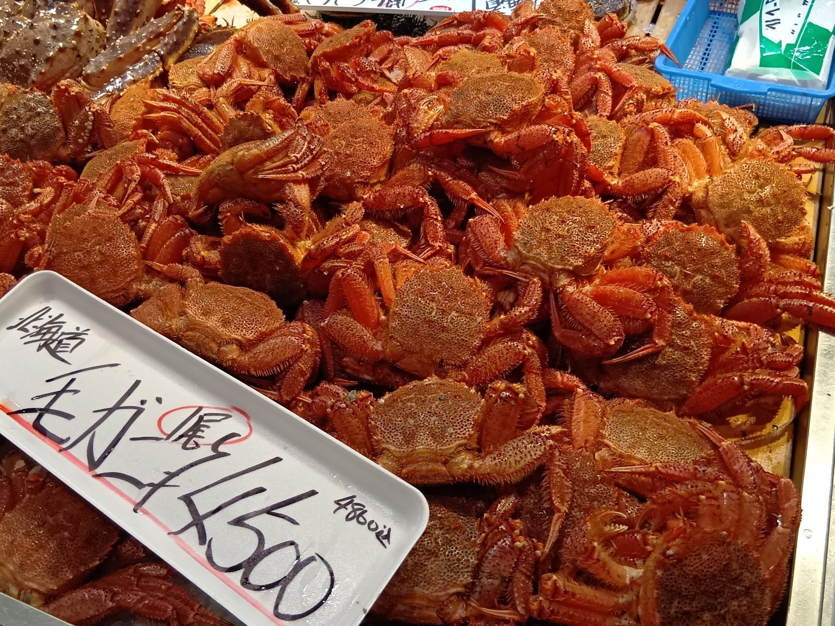 カニなどの海産物もあり、見ているだけでも楽しめるラインナップです。