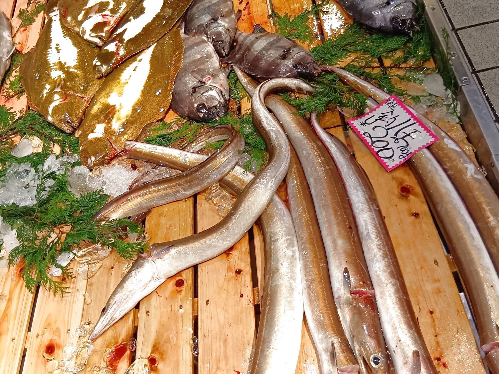 ハモを天然魚として買ってみることに！