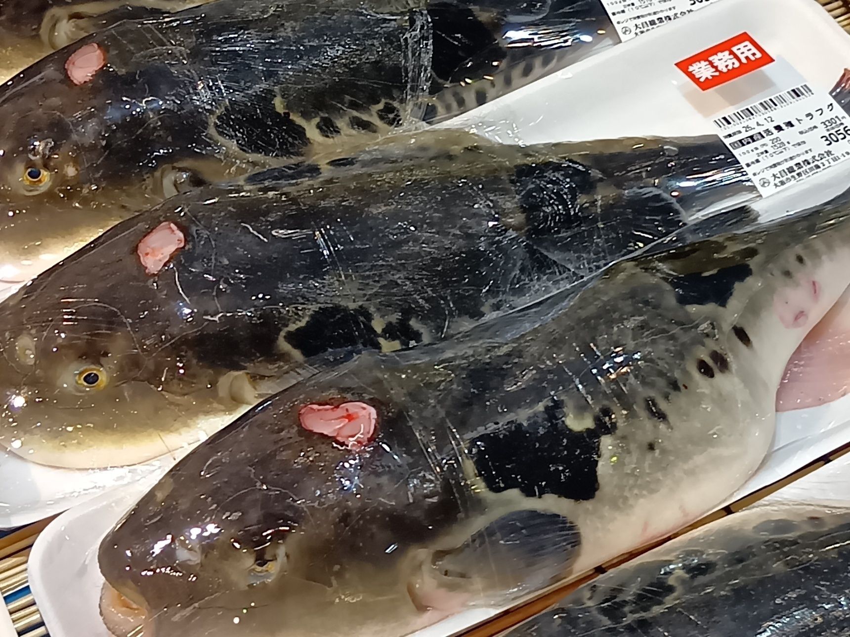 他にも、フグなども入手できますよ！