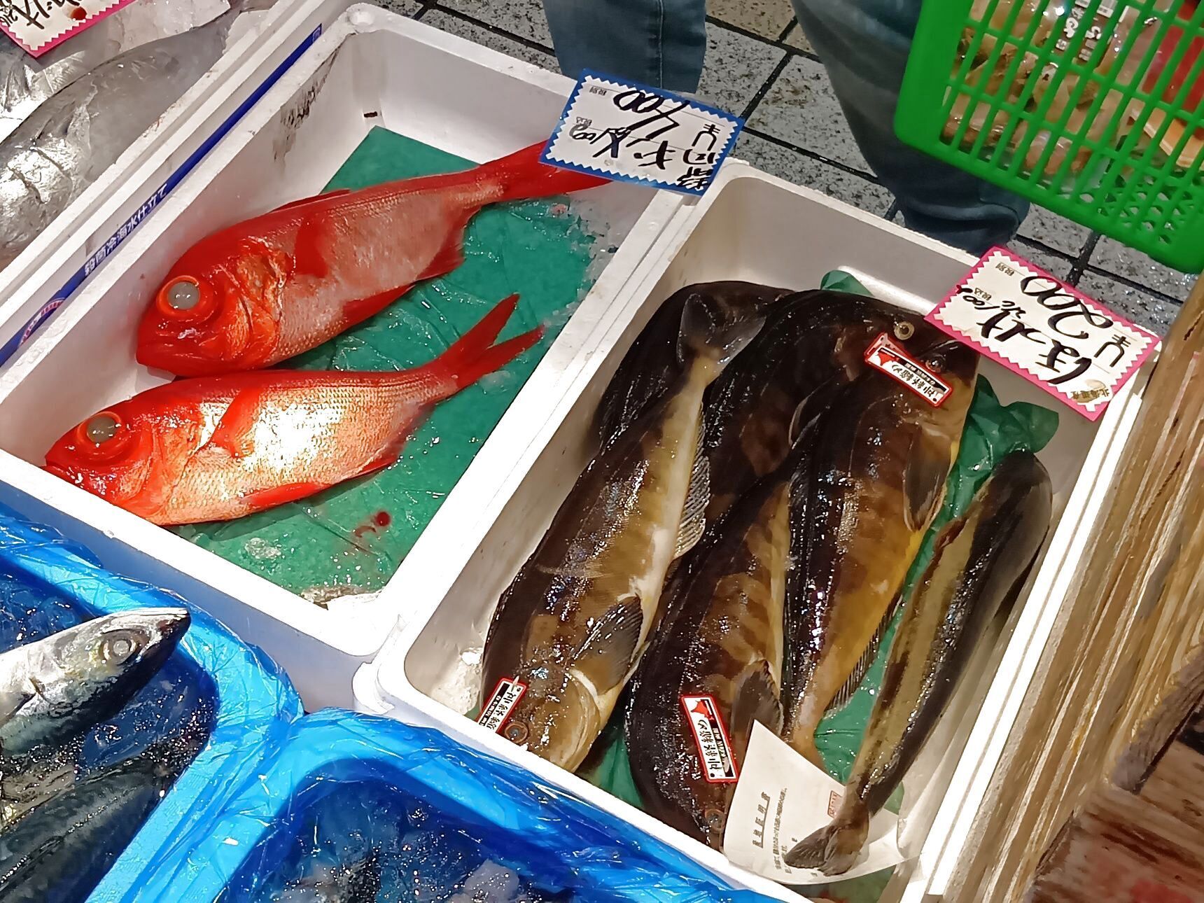わ～！沢山の魚！これは、綺麗な赤い魚のキンメ！よく食べていますよ→ほっけ！