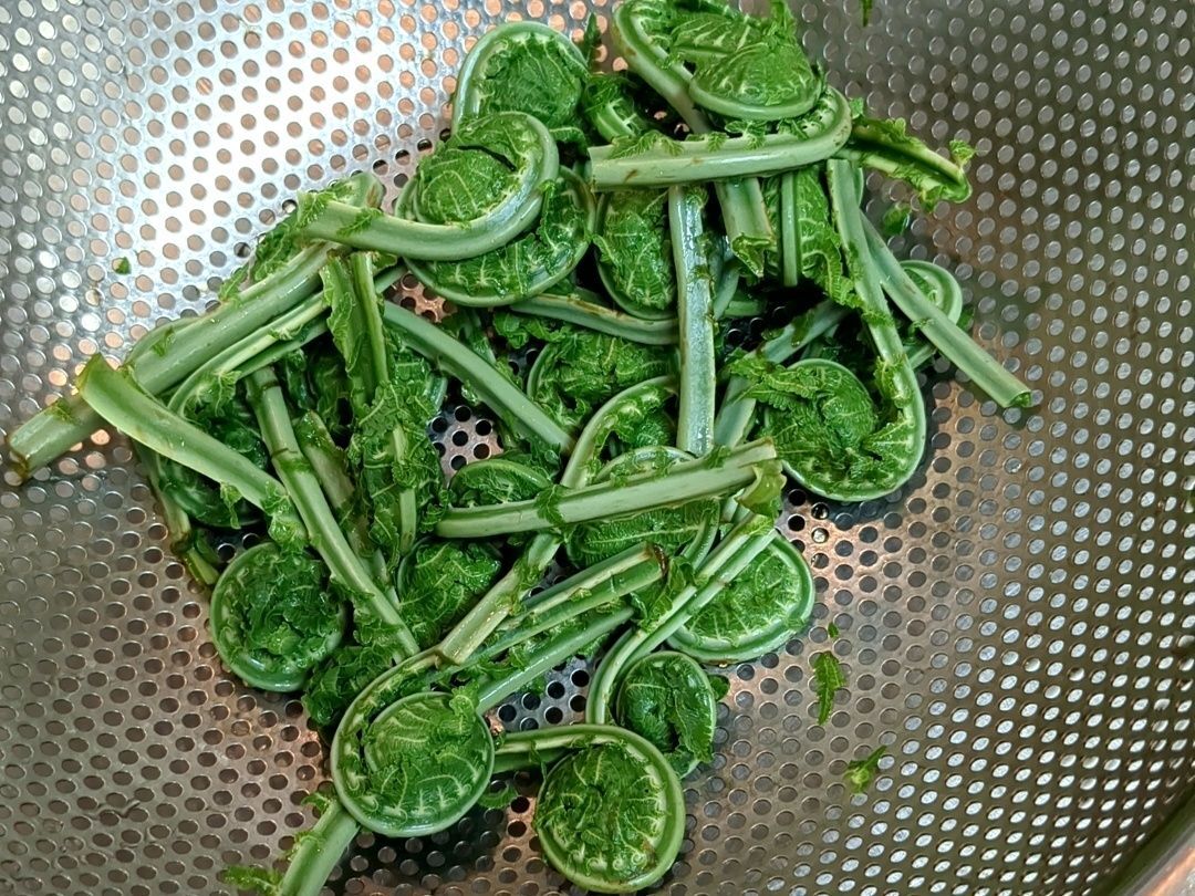 コゴミを茹でます