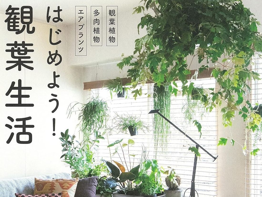 お部屋も心もパッと明るく！初心者でも失敗しない「緑のある暮らし」を彩る話題の2冊【Amazonの35％還元キャンペーン】