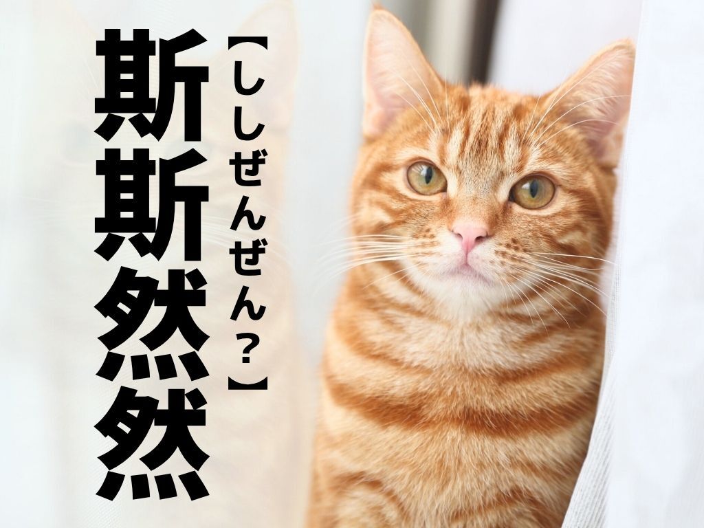 【斯斯然然】なんて読む？「ししぜんぜん」ではありません。一度は聞いたことがあるあの言葉！【難読漢字クイズ】