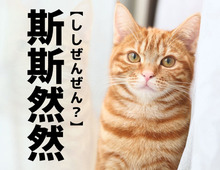【斯斯然然】なんて読む？「ししぜんぜん」ではありません。一度は聞いたことがあるあの言葉！【難読漢字クイズ】