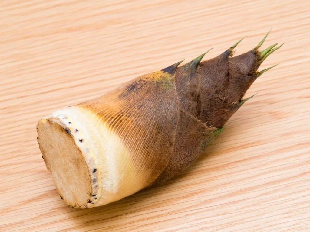 米ぬかがなくても大丈夫！たけのこの「アク抜き」はこの方法で簡単にできるんです♪〈家事の裏ワザ〉