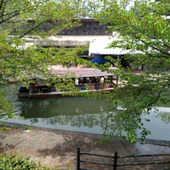 新緑の酒蔵【京都伏見】