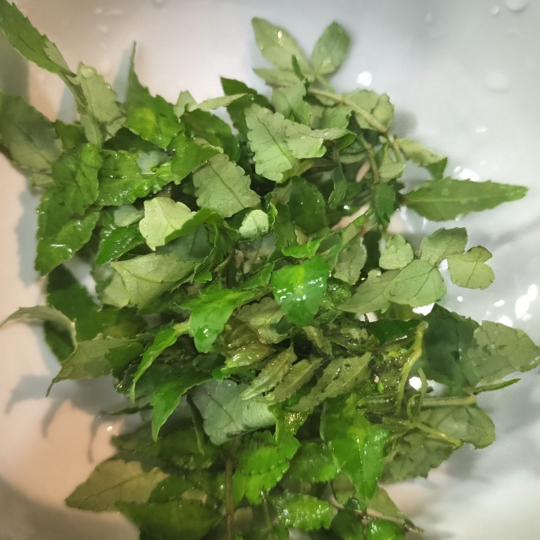 2.鍋に、葉山椒と材料●を入れて煮詰める