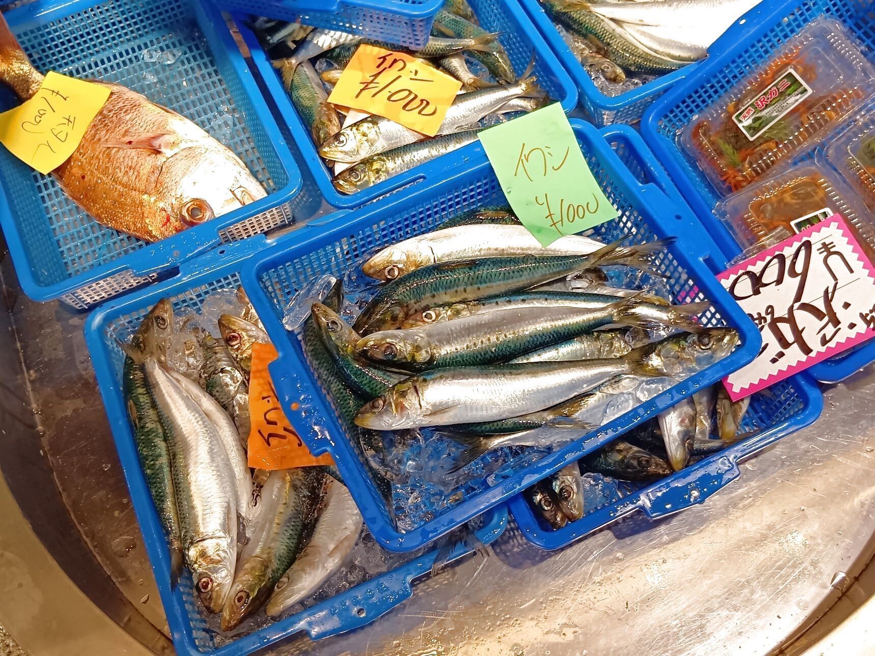 今回購入したのは、ひと盛1000円の天然いわし！