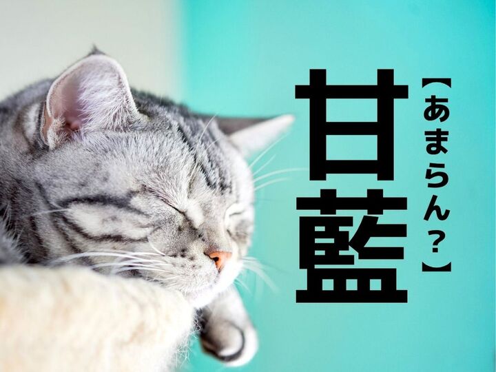 【甘藍】なんて読む?「あまらん」ではありません。ある食べ物の名前です。【知ってたらスゴイ!難読漢字クイズ】
