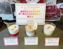 「なんでこんなに人気？」アーモンドミルクの発表会に行ったら→理由が全部わかった！美容にも健康にも優秀でした。