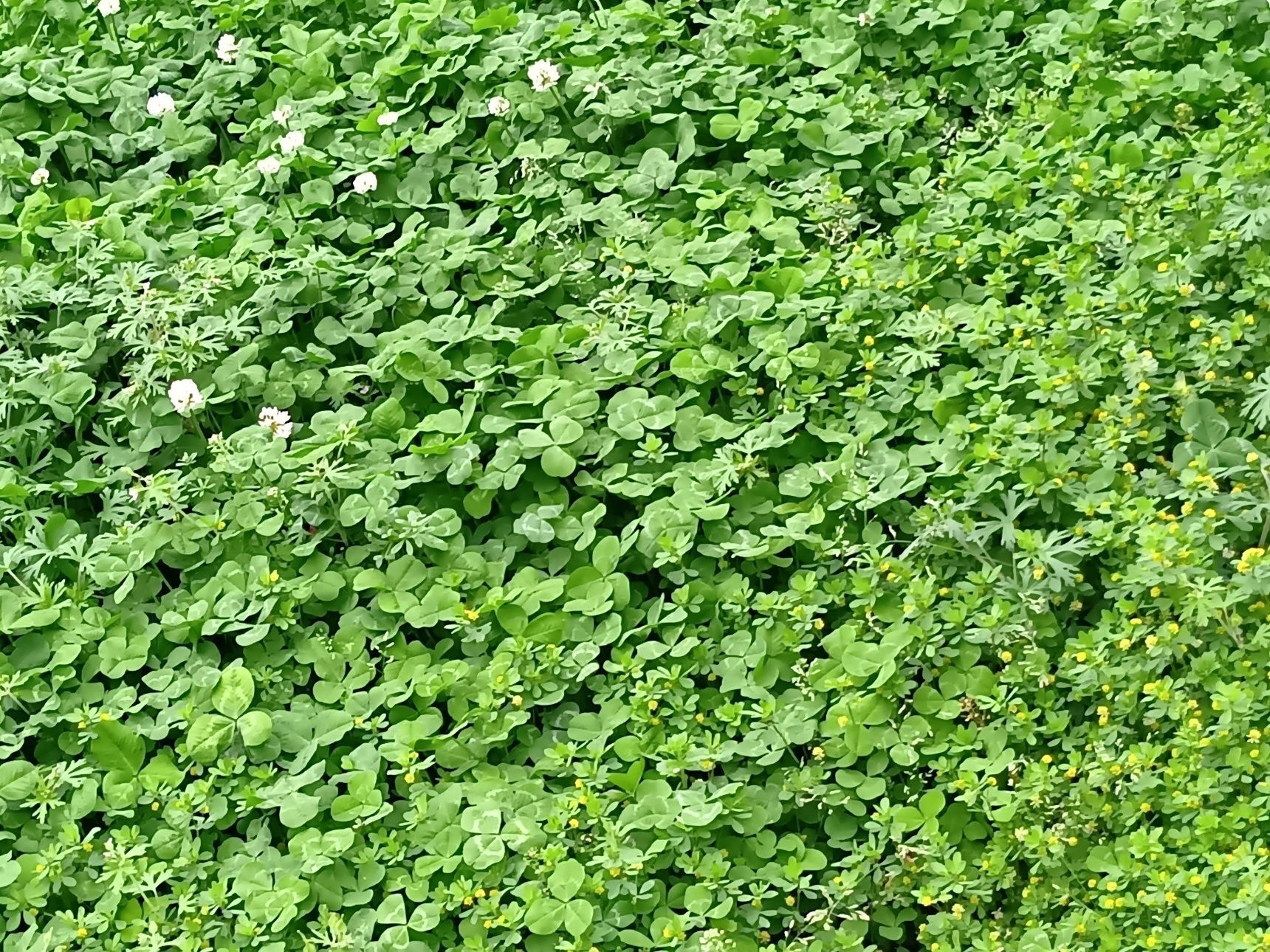 ね！凄いことになっていますよ！