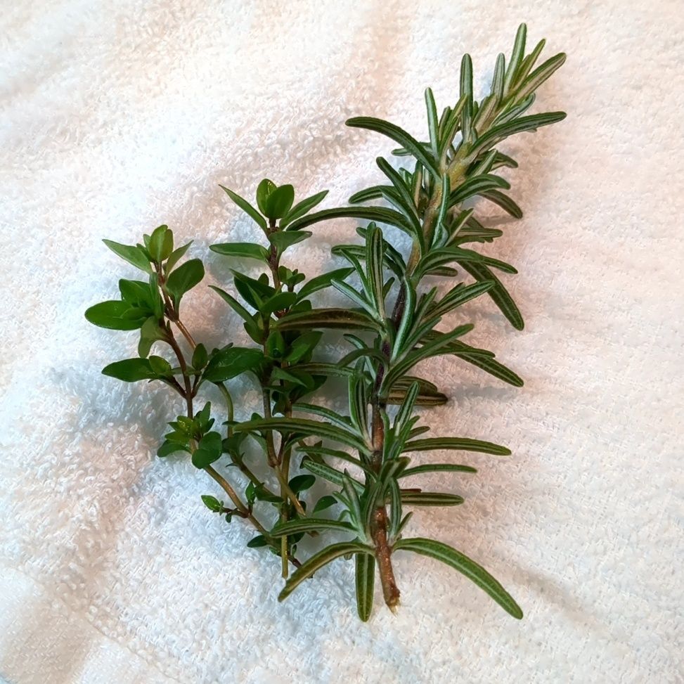 使用するハーブです