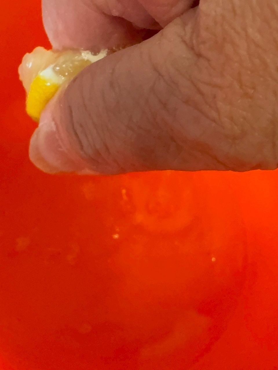 別のボウルに卵白を入れレモンのしぼり汁を加えます