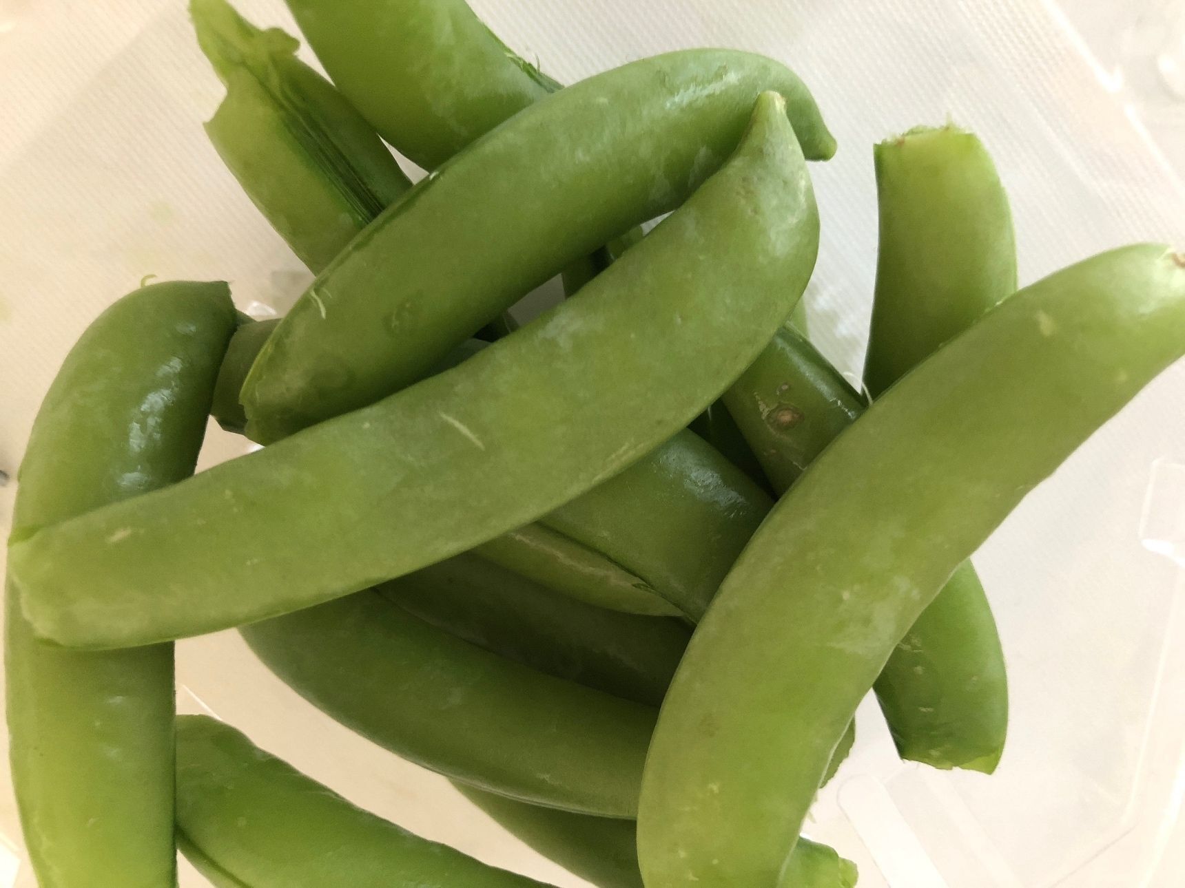 あっという間に筋取りが終わりました