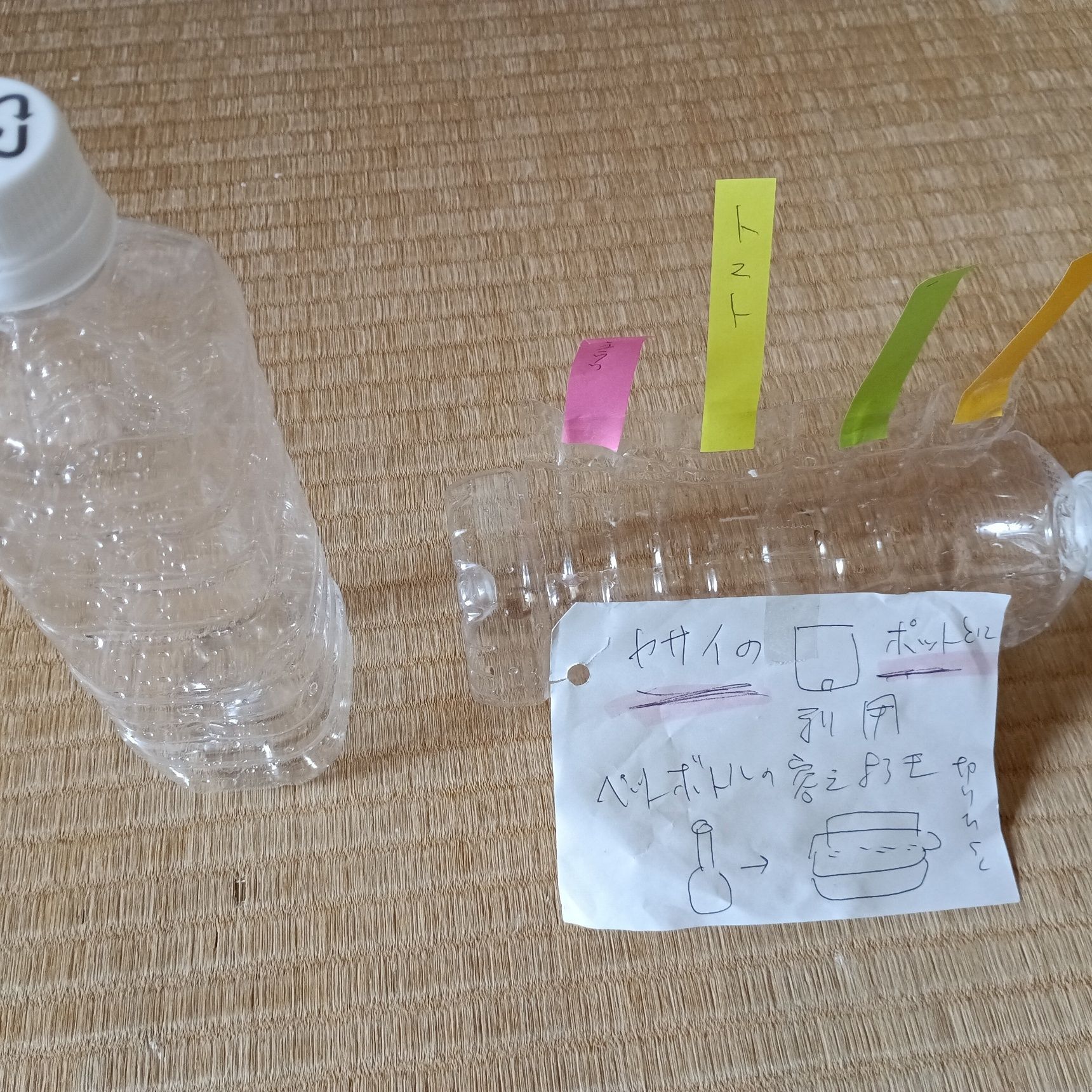 ペットボトルの空き容器を野菜のポットとして利用