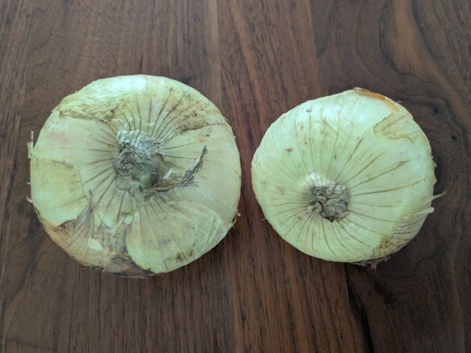 今が旬の、新玉ねぎ！！