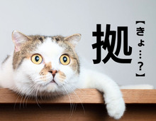 【拠】＝ひらがなで5文字で何と読む？「拠」がつく漢字を想像してみたら、わかるかも…？｜漢字クイズ