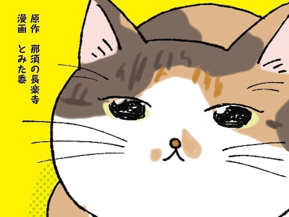 NHK「あしたが変わるトリセツショー」に住職が出演！癒し度120%マンガ「てらねこミー子の日常」＆心やわらぐ大人気書籍をご紹介♪