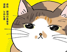 NHK「あしたが変わるトリセツショー」に住職が出演！癒しマンガ「てらねこミー子の日常」＆心やわらぐ大人気書籍をご紹介♪