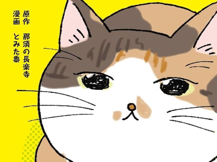 NHK「あしたが変わるトリセツショー」に住職が出演!癒し度120%マンガ「てらねこミー子の日常」&心やわらぐ大人気書籍をご紹介♪