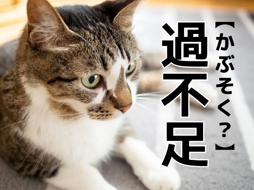 【過不足】は「かぶそく」とは読まない！？今までの常識が実は間違っているかも…【漢字クイズ】